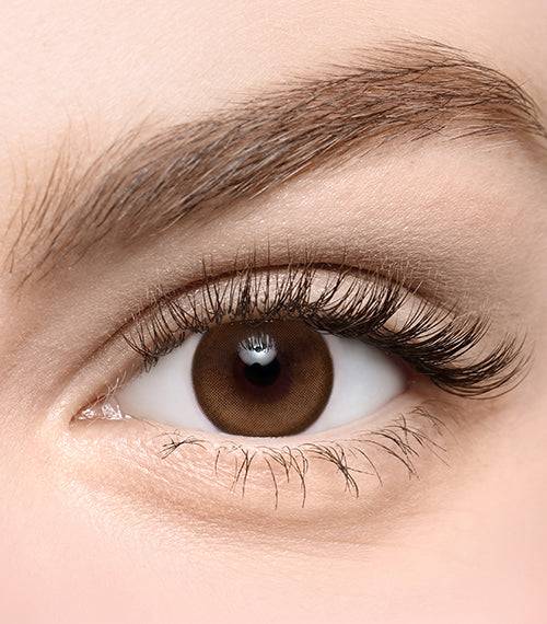 Qloring Brown - TORICA by Lensme