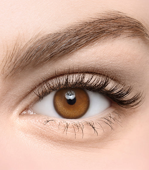 Hidden Brown - TORICA by Lensme