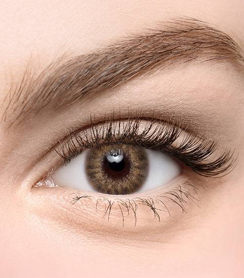 Zinnive Brown - TORICA by Lensme