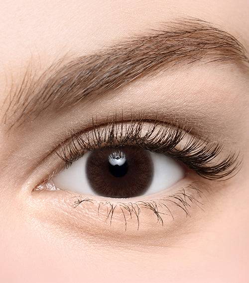 Lagoon Choco - TORICA by Lensme