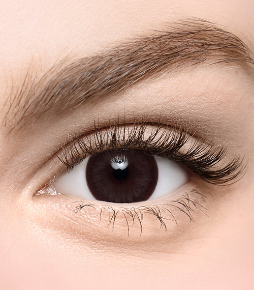 Romeo Choco - TORICA by Lensme