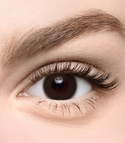 Dayrin Choco - TORICA by Lensme