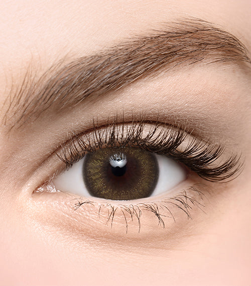 Lapis Gold Pearl - TORICA by Lensme