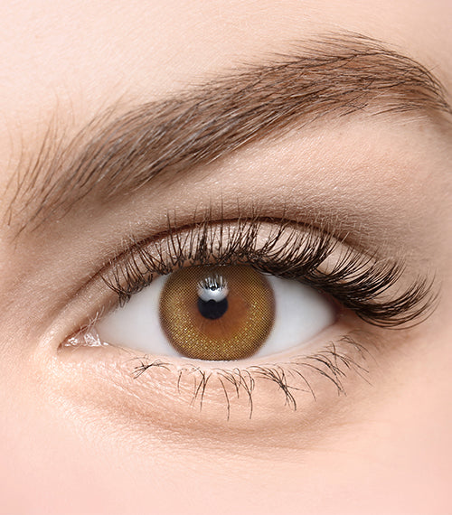 Toneup Brown - TORICA by Lensme