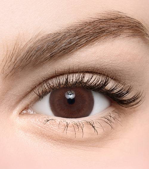 Brownie Classic Brown - TORICA by Lensme