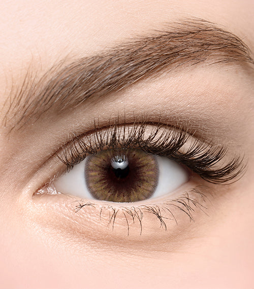 Eyegee Brown - TORICA by Lensme