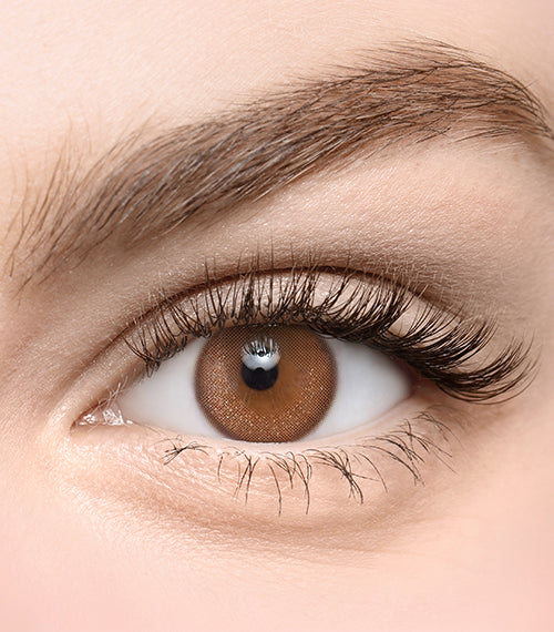 Toneup Choco - TORICA by Lensme