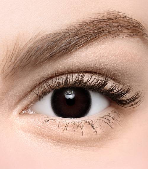 Frozen Black - TORICA by Lensme