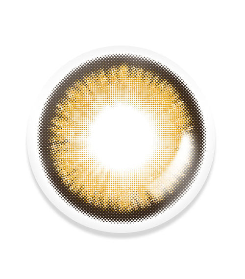 Lapis Gold Pearl - TORICA by Lensme